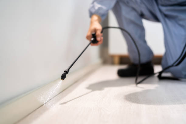 Rodent Entry Point Assessment in Tallahassee