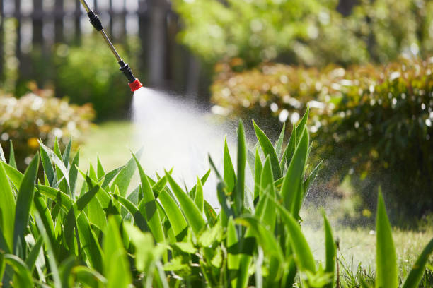 Tamper-Resistant Bait Stations for Rodents in Tallahassee