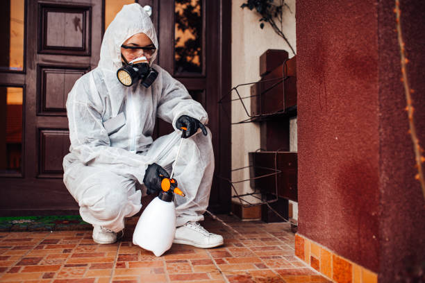 Attic and Crawl Space Rodent Treatment in Tallahassee